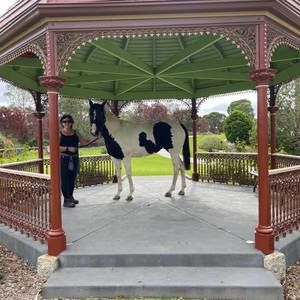 Meet your Posher, Jayne